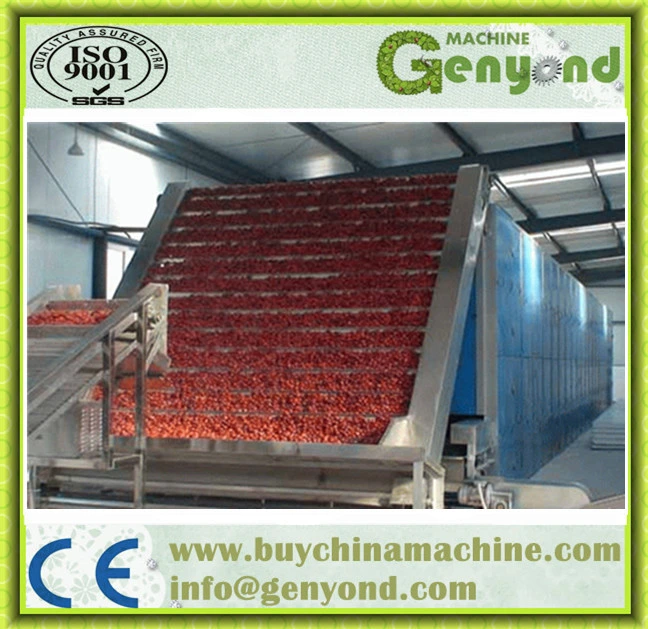 Industrial Continuous Belt Drying Machine for Fruit and Vegetable